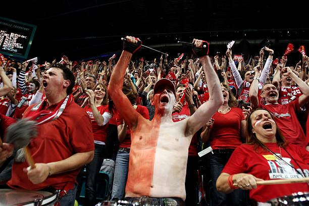 会总能成为 会总能成为